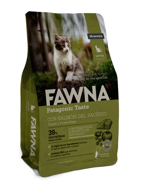 Fawna Gato Kitten