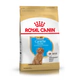 Royal Canin Perro Caniche Puppy