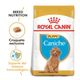 Royal Canin Perro Caniche Puppy