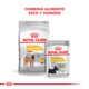 Royal Canin Perro Medium Dermacomfort