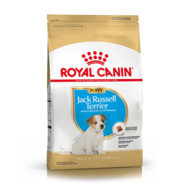 Royal Canin Perro Jack Russell Puppy 3Kg
