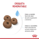 Royal Canin Perro Starter Giant 10Kg