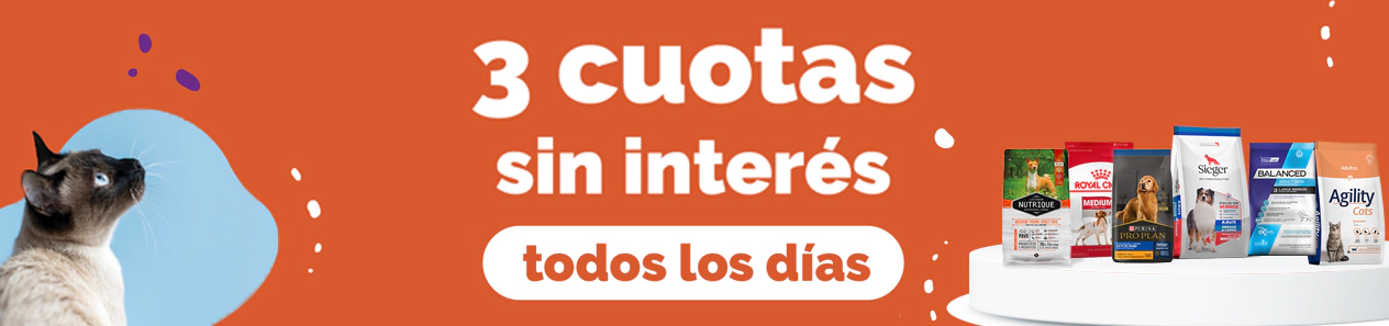 Todos los dias 3 cuotas sin interés