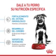Royal Canin Perro Maxi Puppy x 15Kg + 3Kg Gratis