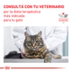 Royal Canin Gato Renal 2Kg