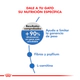 Royal Canin Gato Weight Care