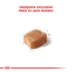 Royal Canin Perro Jack Russell Adulto 3Kg