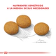 Royal Canin Perro Medium Dermacomfort