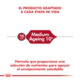Royal Canin Perro Medium Ageing 10+ x 15Kg