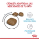 Royal Canin Gato Urinary Care