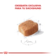 Royal Canin Perro Dachshund Adulto 3kg