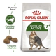 Royal Canin Gato Active 7+ 1,5Kg