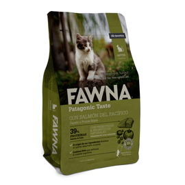 Fawna Gato Kitten