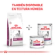 Royal Canin Perro Renal