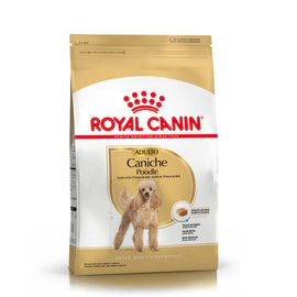 Royal Canin Perro Caniche Adulto