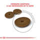 Royal Canin Gato Digestive Care 1,5Kg
