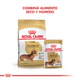 Royal Canin Perro Dachshund Adulto 3kg