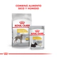 Royal Canin Perro Maxi Dermacomfort 10Kg