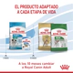 Royal Canin Perro Mini Puppy