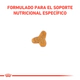 Royal Canin Gato Fibre Response 2Kg