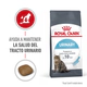 Royal Canin Gato Urinary Care