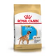 Royal Canin Perro Boxer Adulto 12Kg