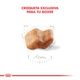 Royal Canin Perro Boxer Adulto 12Kg