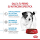 Royal Canin Perro Mini Puppy