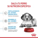 Royal Canin Perro Medium Puppy x 15Kg + 3Kg Gratis