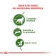 Royal Canin Gato Active 7+ 1,5Kg