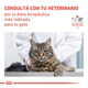Royal Canin Gato Fibre Response 2Kg