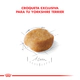 Royal Canin Perro Yorkshire Terrier Adulto