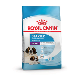 Royal Canin Perro  Starter Giant 10Kg