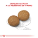 Royal Canin Perro Medium Adulto x 15 + 3Kg Gratis