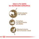 Royal Canin Gato Ageing +12 2Kg