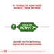 Royal Canin Gato Active 7+ 1,5Kg