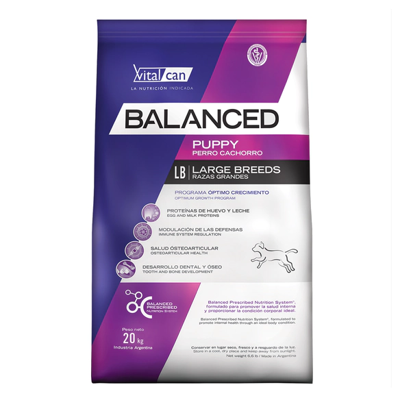 Balanced Perro Puppy Large