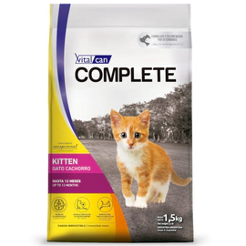 Complete Gato Kitten
