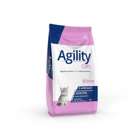 Agility Gato Kitten