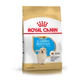 Royal Canin Perro Golden Puppy 12Kg