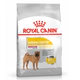 Royal Canin Perro Medium Dermacomfort