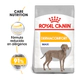Royal Canin Perro Maxi Dermacomfort 10Kg