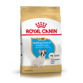 Royal Canin Perro Bulldog Frances Puppy