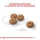 Royal Canin Perro Mini Castrados 3Kg