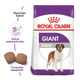 Royal Canin Perro Giant Adulto 15Kg
