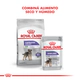 Royal Canin Perro Mini Castrados 3Kg