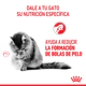 Royal Canin Gato Hairball Care 1,5Kg