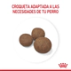 Royal Canin Perro Medium Puppy x 15Kg + 3Kg Gratis