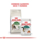 Royal Canin Gato Active 7+ 1,5Kg
