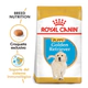 Royal Canin Perro Golden Puppy 12Kg